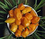 peppers